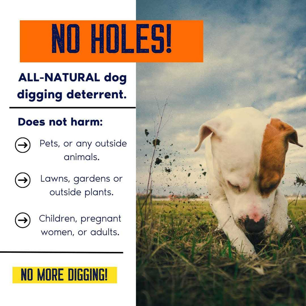 No Holes! Digging Dog Prevention Gallon with Trigger Sprayer O50806