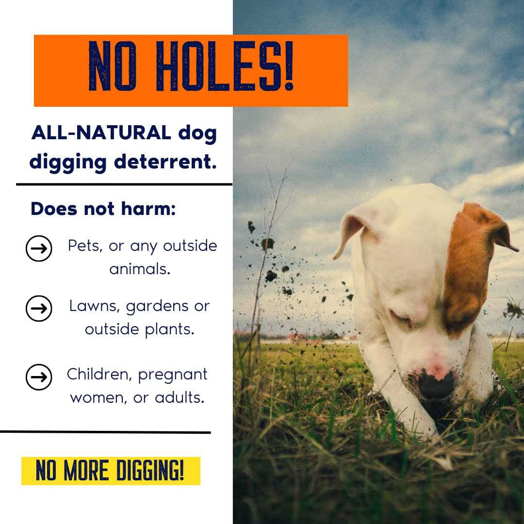 No Holes! Digging Dog Prevention Gallon with Trigger Sprayer O50806
