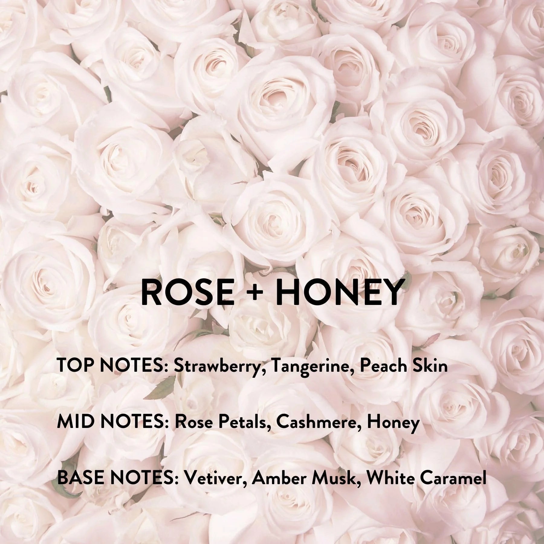 Rose + Honey Eau De Parfum Spray 3.4 oz D7529
