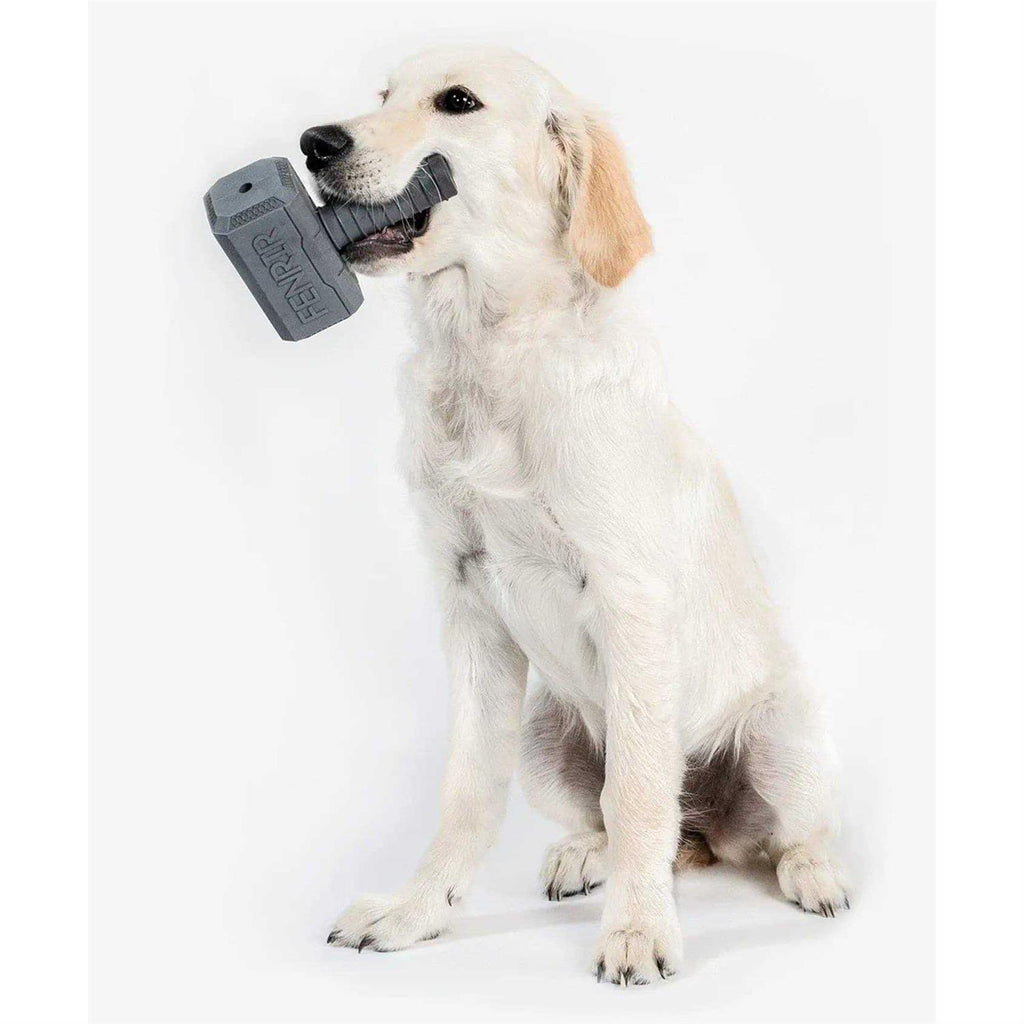 Hammer Chew Toy X518092