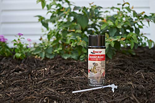 12 oz 2-Pack Expanding Foam Barrier Z35131
