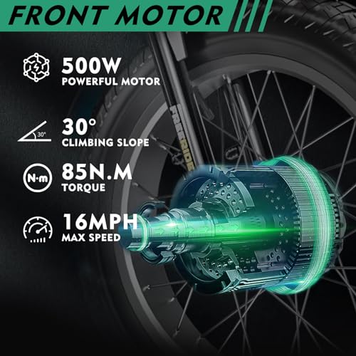 20" x 4" Fat Tire Electric Tricycle with Removable Battery Q6371