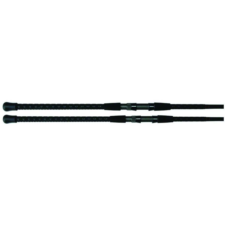 Lamiglas Insane Surf Spinning Rod I641611