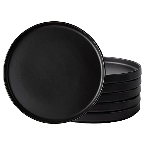 Ceramic Dinner Plates Set of 6, 10.0 Inch Matte Black Stoneware B930560