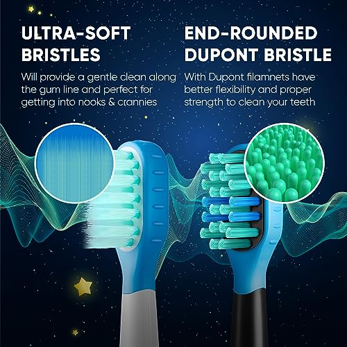 Sonic Rechargeable Electric Toothbrush with 5 Modes, 3 Brush Heads F9526