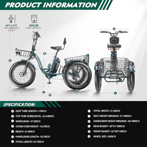 20" x 4" Fat Tire Electric Tricycle with Removable Battery Q6371