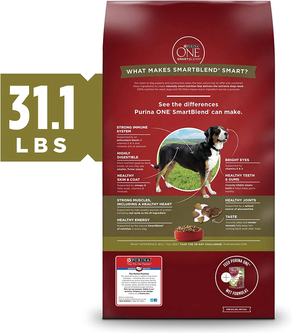 Natural Adult Lamb & Rice Dry Dog Food J746135