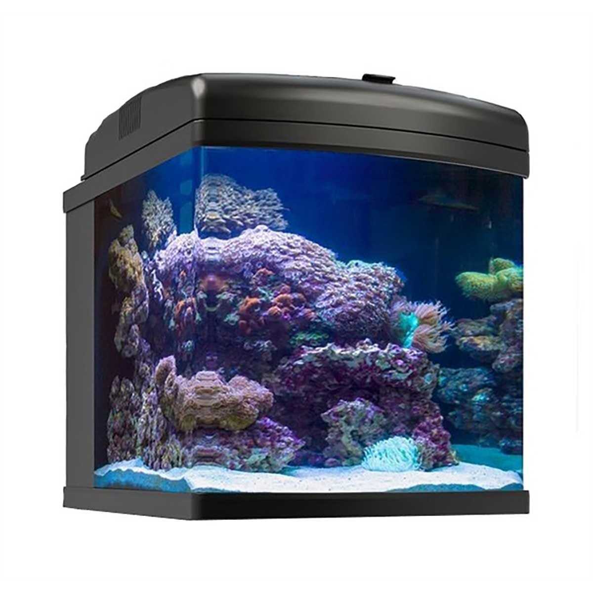 28g Nano Cube LED 40W U712731