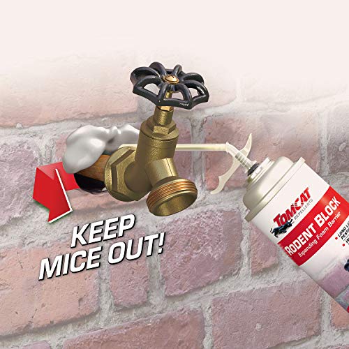 12 oz 2-Pack Expanding Foam Barrier Z35131