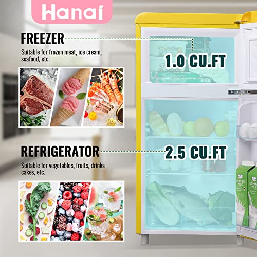 Mini Fridge with Freezer Dual Door Y64891