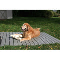 Set of 3 Pet Supplies X7749