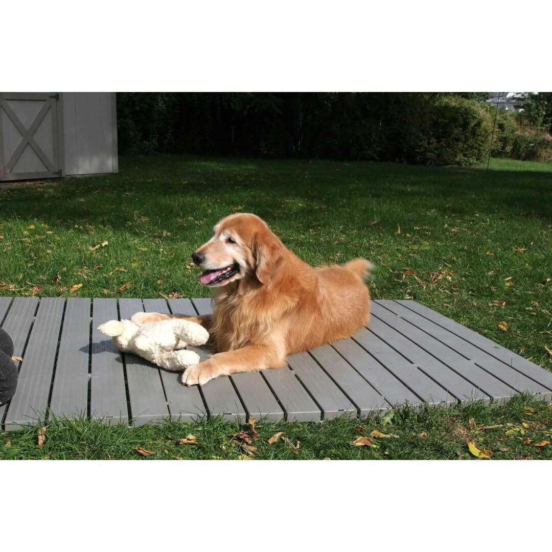 Set of 3 Pet Supplies X7749