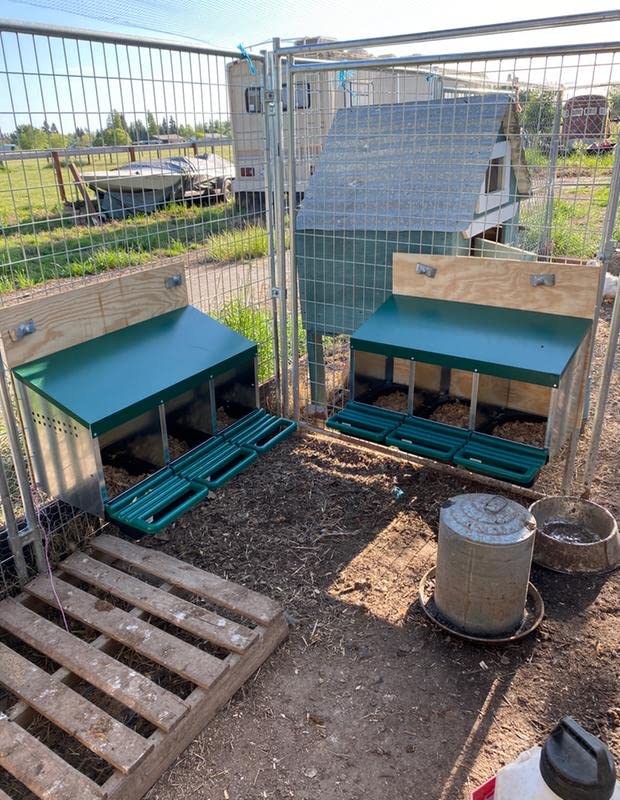 3 Compartment Roll Out Nesting Box for Chickens with Lid Cover R106657