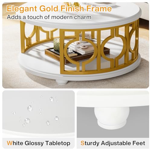 2-Tier Round Coffee Table with Storage Shelf H1369