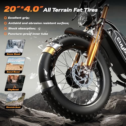 2000W Electric Bike with 48V Battery 20"x4.0" Fat Tires G555