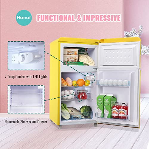 Mini Fridge with Freezer Dual Door Y64891