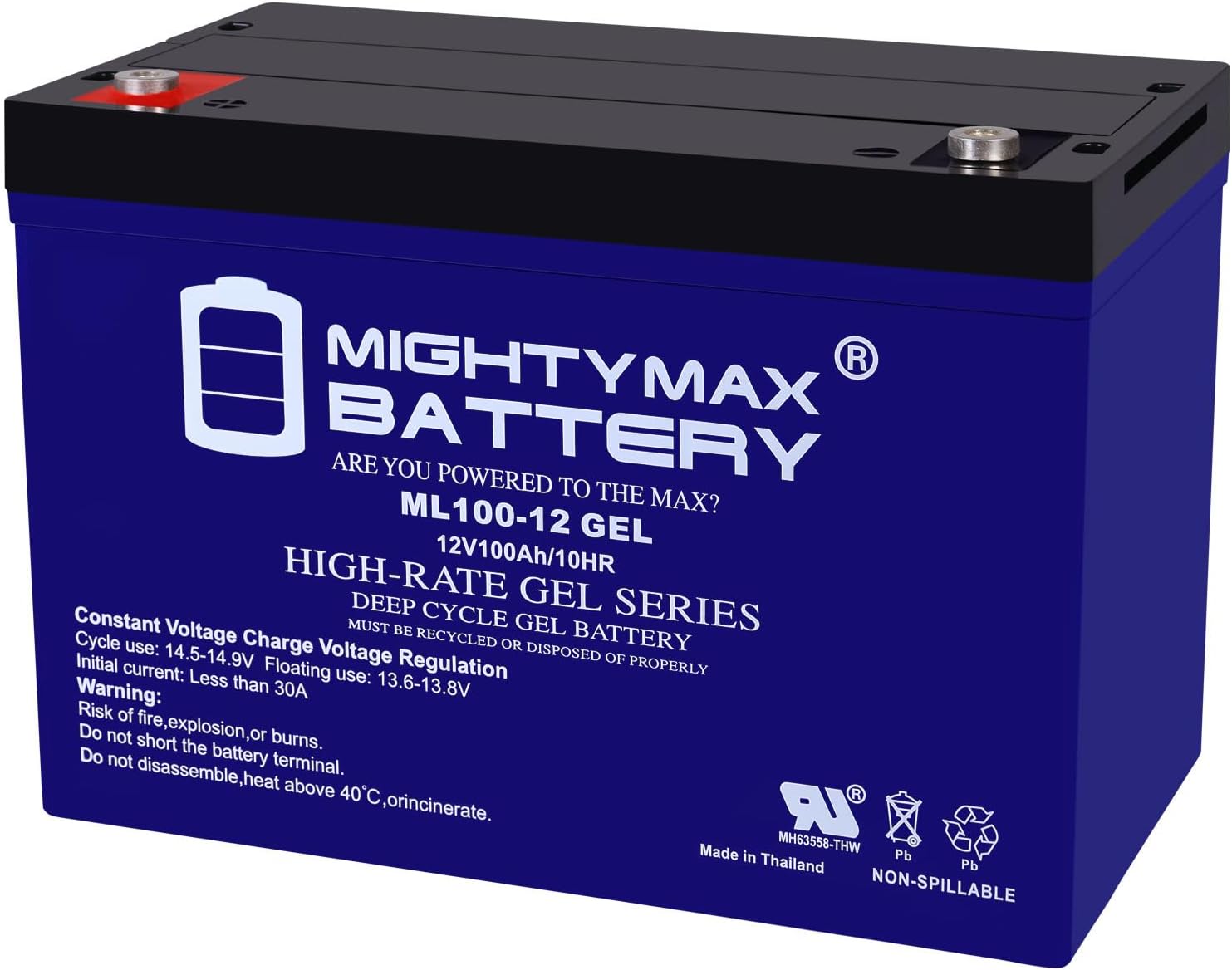 12V 100AH Gel Battery H394070