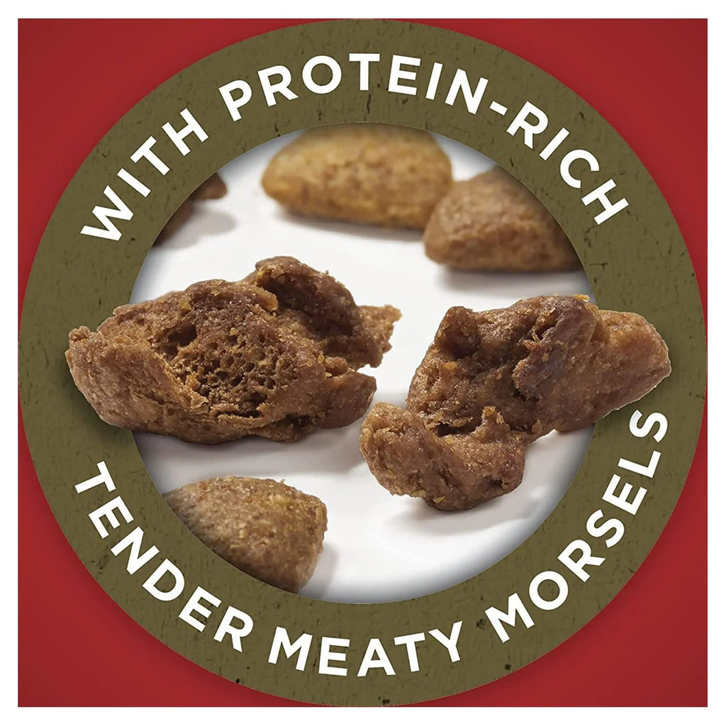 Natural Adult Lamb & Rice Dry Dog Food J746135