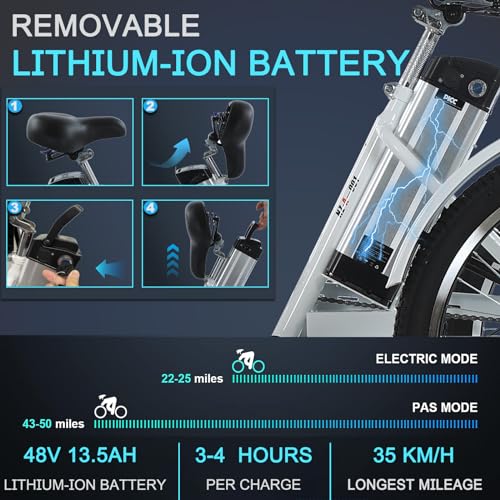 24" 3 Wheel Electric Tricycle with 350w Motor & Removable 36V 12Ah Lithium Battery F975