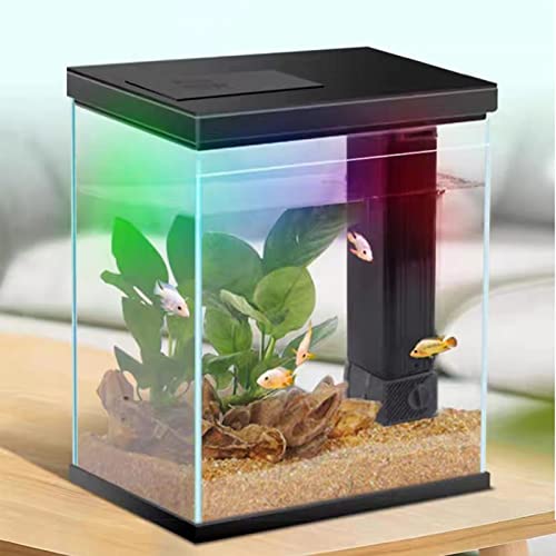 2 Gallon Glass Betta Fish Tank with Heater Filter and Light B7657