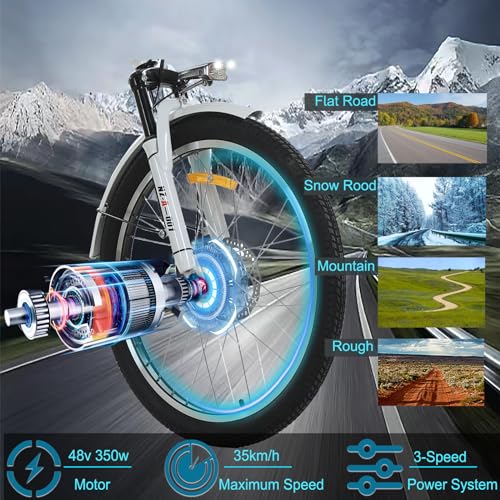 24" 3 Wheel Electric Tricycle with 350w Motor & Removable 36V 12Ah Lithium Battery F975