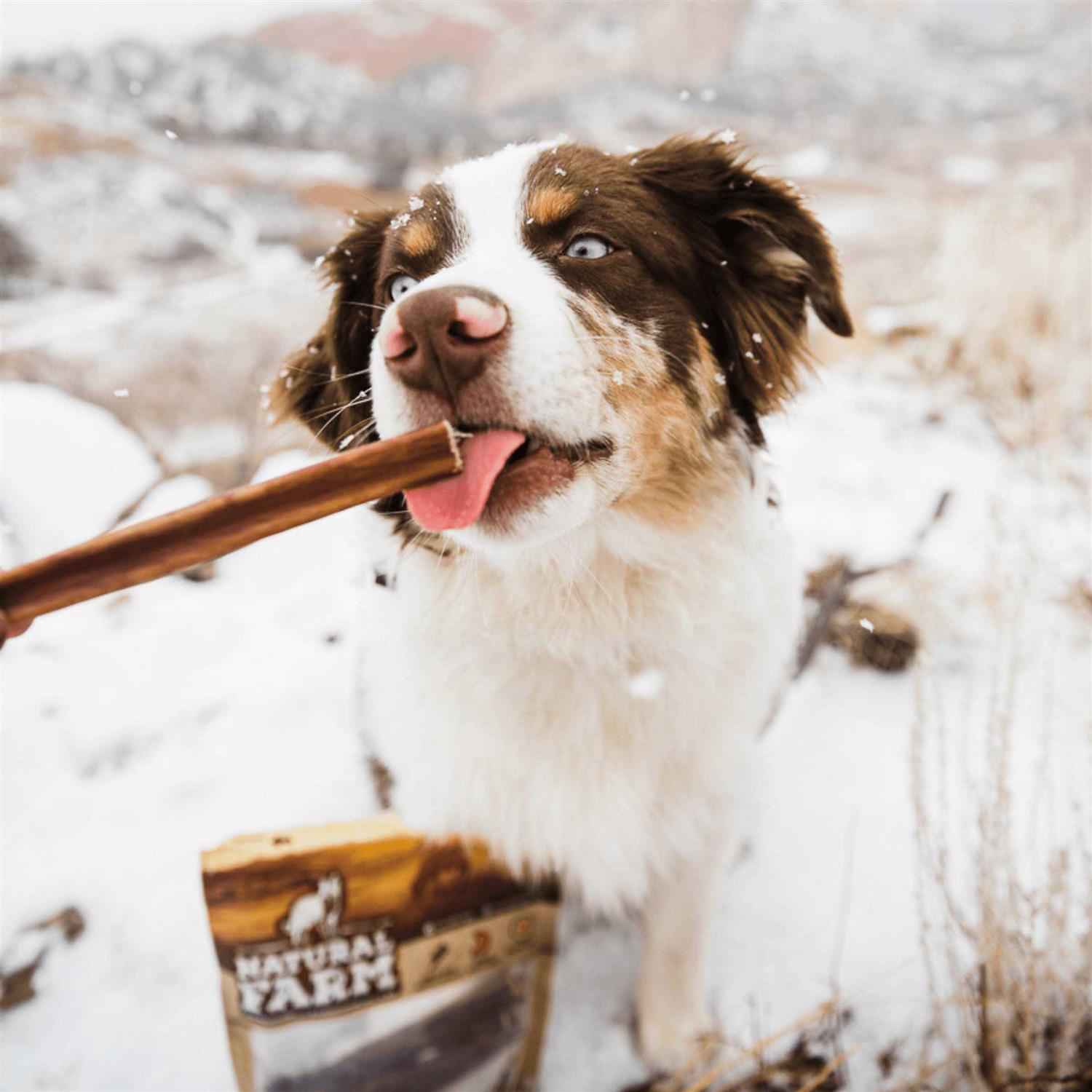Odor Free Bully Sticks V36852