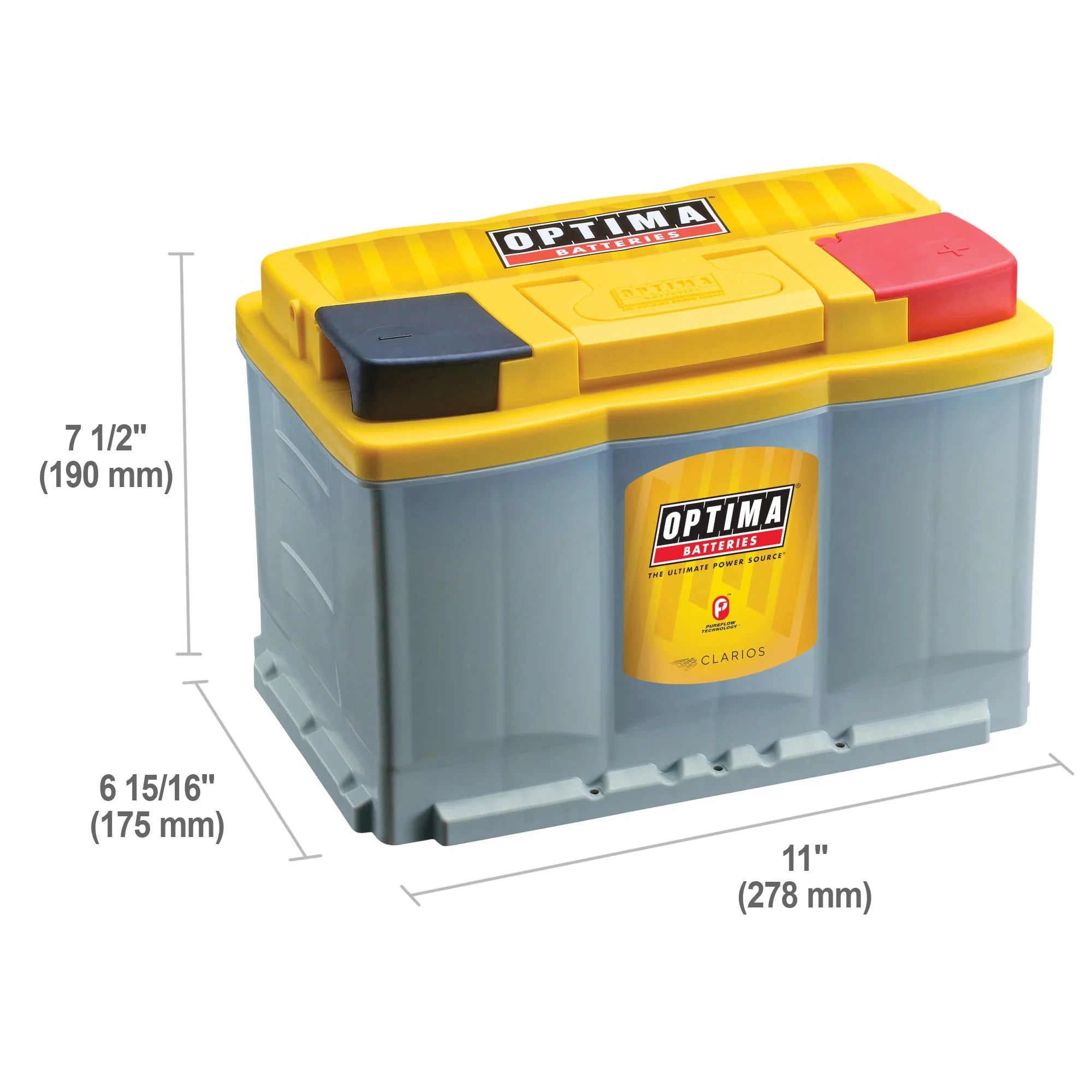 12 Volt 800 CCA AGM Dual Purpose Battery W11223