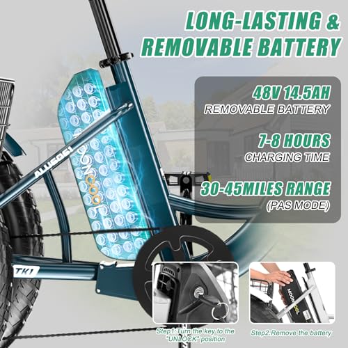 20" x 4" Fat Tire Electric Tricycle with Removable Battery Q6371