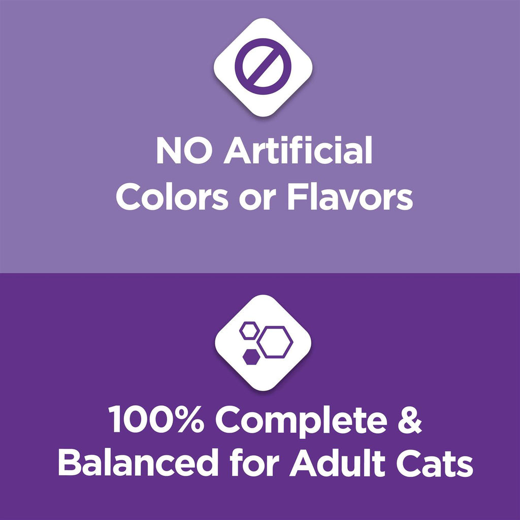 Gentle Dry Cat Food N22877