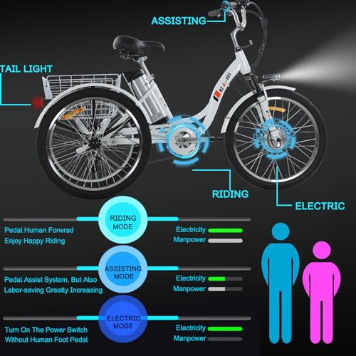 24" 3 Wheel Electric Tricycle with 350w Motor & Removable 36V 12Ah Lithium Battery F975