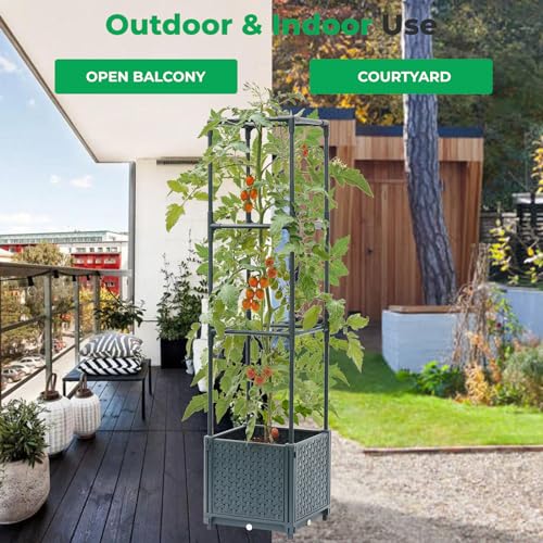 Raised Garden Bed with Tomato Planter Cage Q9136