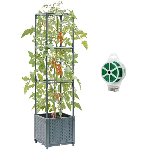 Raised Garden Bed with Tomato Planter Cage Q9136