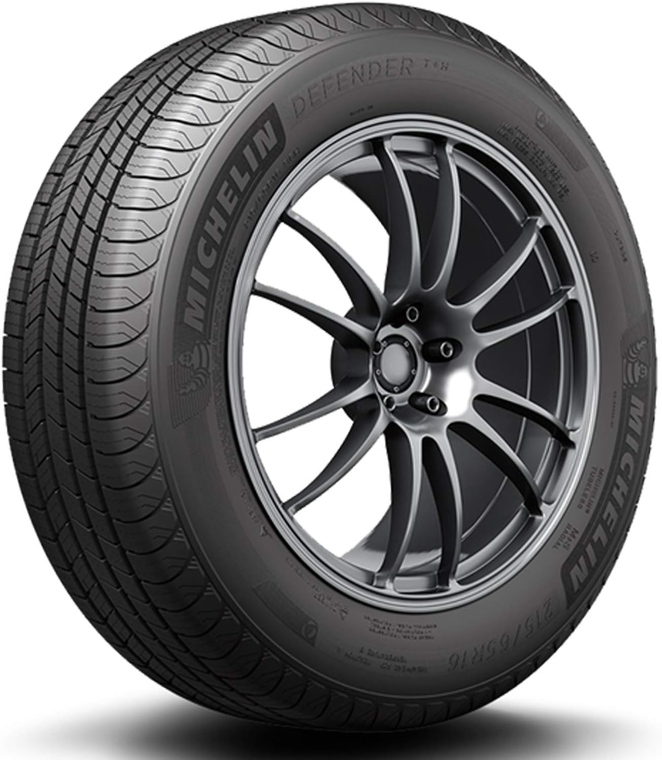 All-Season Tire 205/60R16 92H G6199