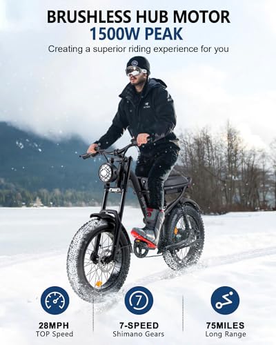 1500W Electric Bike with Full Suspension, 20" Fat Tire, 31.2AH Battery Z65538