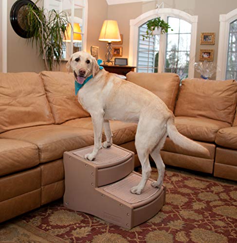 Chocolate 2-Step Pet Stairs V8932