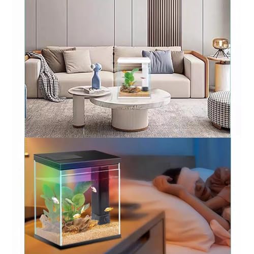2 Gallon Glass Betta Fish Tank with Heater Filter and Light B7657
