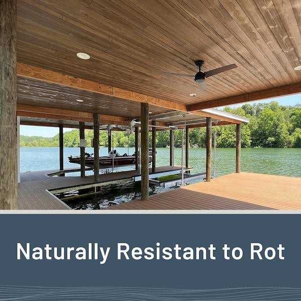 Thermally Modified Wood Tongue and Groove Boards S5529