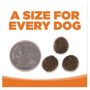 Grain Free Venison Red Lentils Dog Food X586732