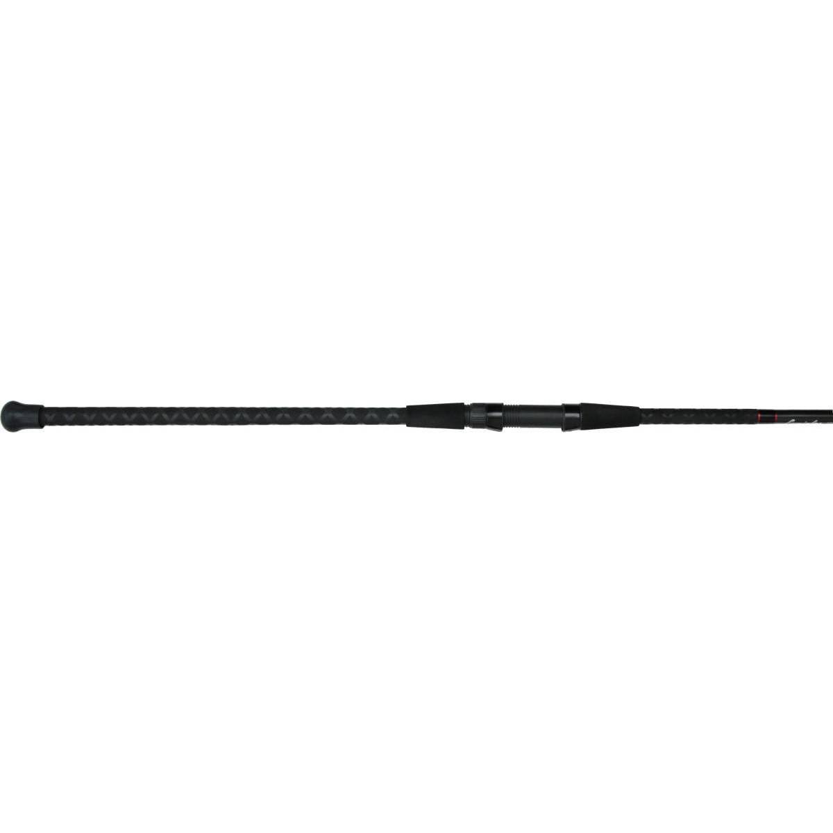 Lamiglas Insane Surf Spinning Rod I641611