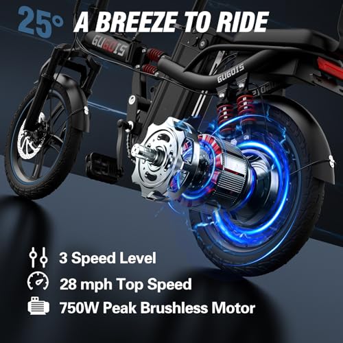 2 Seater Electric Bike, 16" Fat Tire, Full Suspension A247