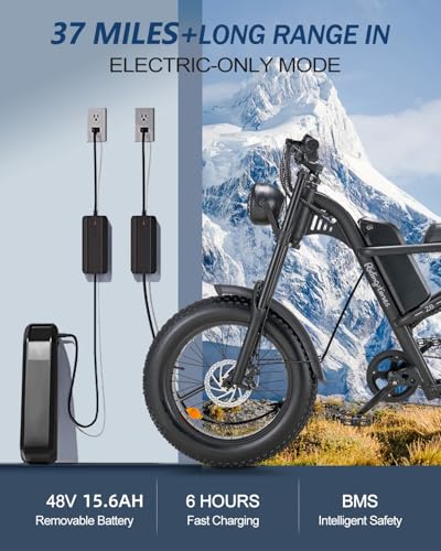 1500W Electric Bike with Full Suspension, 20" Fat Tire, 31.2AH Battery Z65538