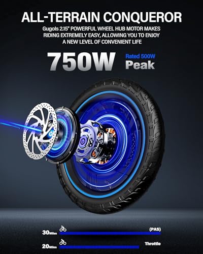 2 Seater Electric Bike, 16" Fat Tire, Full Suspension A247