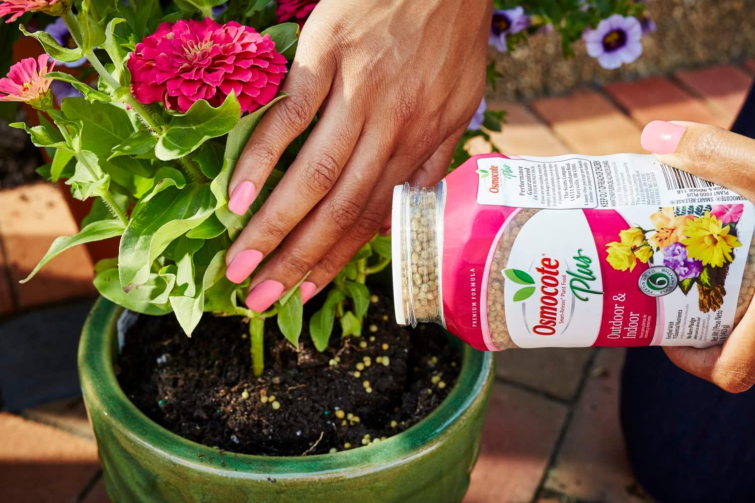 1 lb. Smart-Release Plant Food O60020