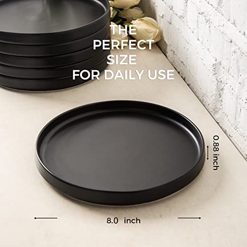 Ceramic Dinner Plates Set of 6, 10.0 Inch Matte Black Stoneware B930560