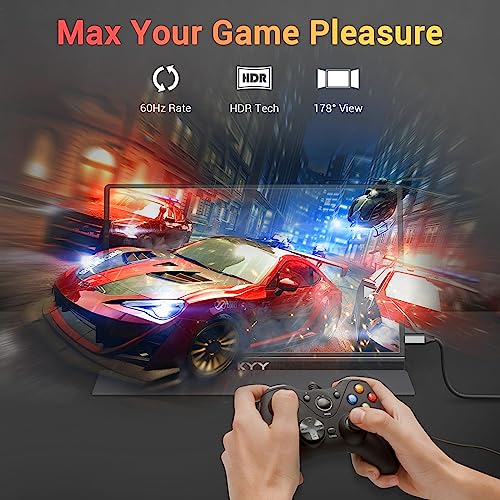 15.6'' FHD 1080P USB C HDMI IPS Portable Monitor P22153