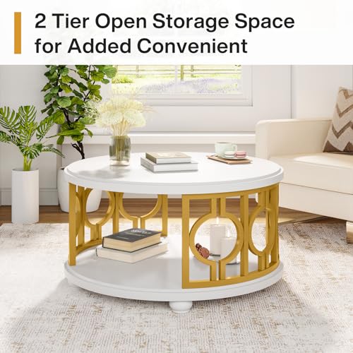 2-Tier Round Coffee Table with Storage Shelf H1369