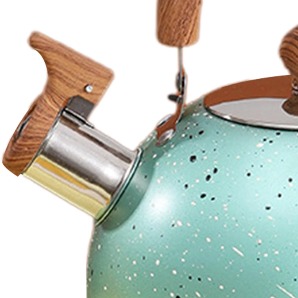 Green Stainless Whistling Water Kettle F934
