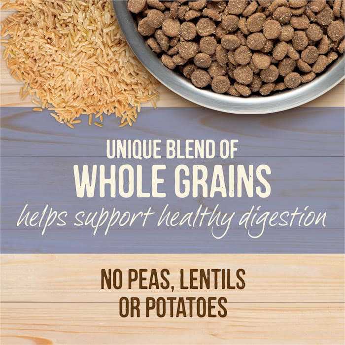Freeze Dried Raw Coated Kibble Dry Dog Food Puppy Recipe U96653