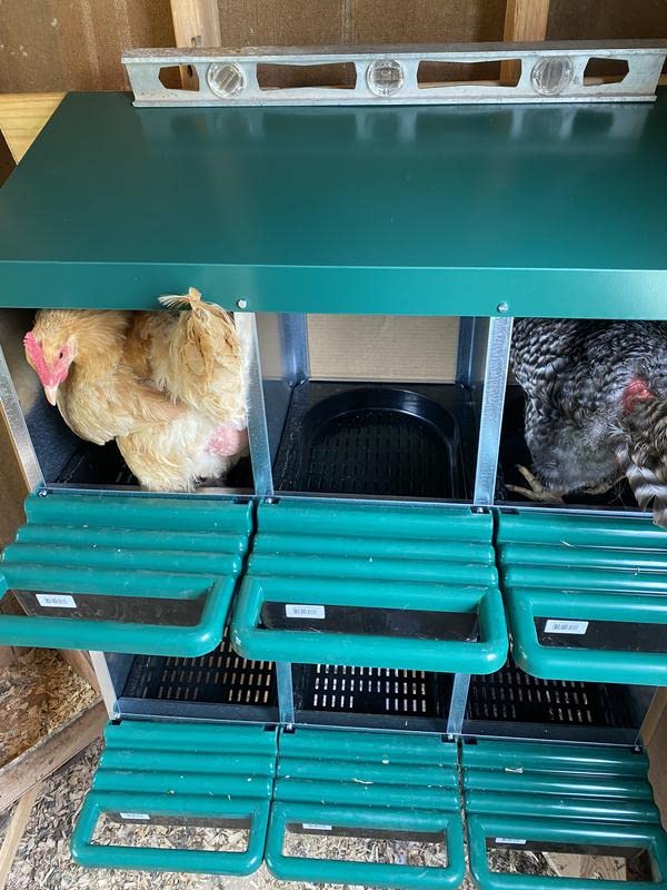 3 Compartment Roll Out Nesting Box for Chickens with Lid Cover R106657