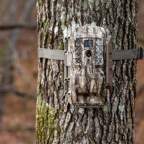 Cellular Trail Camera D707476